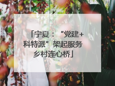 宁夏：“党建+科特派”架起服务乡村连心桥