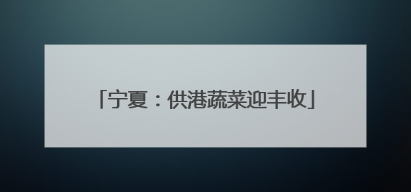 宁夏：供港蔬菜迎丰收