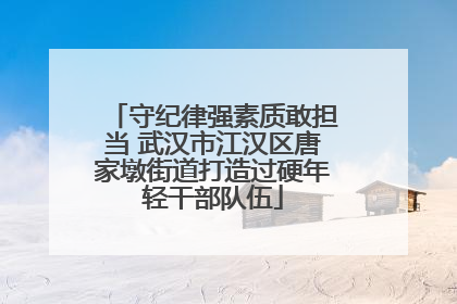 守纪律强素质敢担当 武汉市江汉区唐家墩街道打造过硬年轻干部队伍