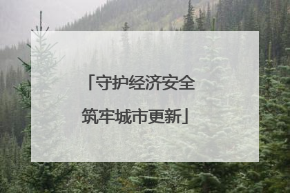 守护经济安全 筑牢城市更新