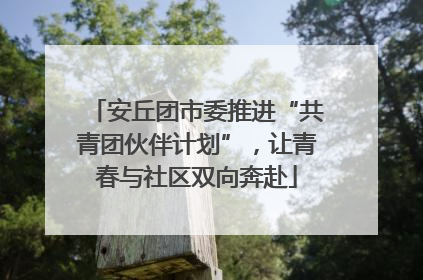 安丘团市委推进“共青团伙伴计划”，让青春与社区双向奔赴