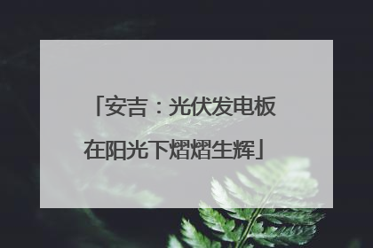 安吉：光伏发电板在阳光下熠熠生辉
