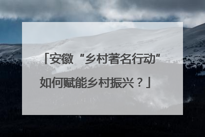安徽“乡村著名行动”如何赋能乡村振兴？