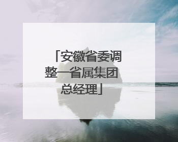 安徽省委调整一省属集团总经理