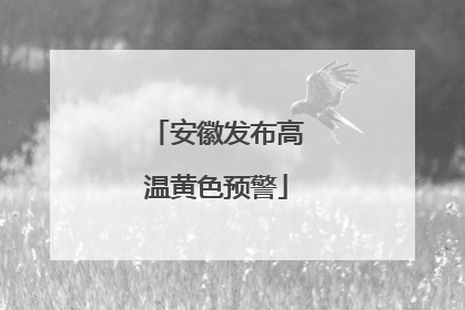 安徽发布高温黄色预警