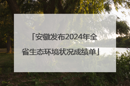 安徽发布2024年全省生态环境状况成绩单