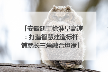 安徽建工徐淮阜高速：打造智慧建造标杆 铺就长三角融合坦途