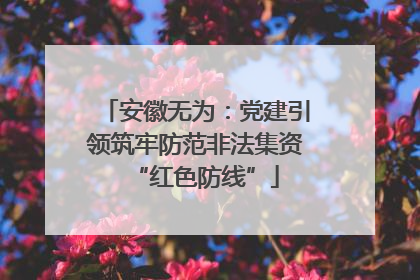 安徽无为：党建引领筑牢防范非法集资“红色防线”