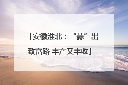 安徽淮北：“蒜”出致富路 丰产又丰收