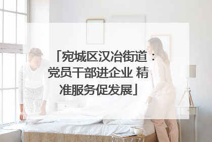 宛城区汉冶街道：党员干部进企业 精准服务促发展
