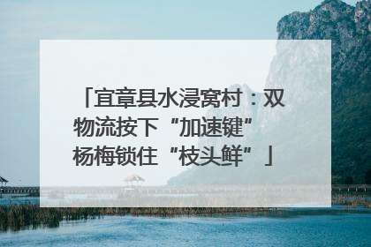 宜章县水浸窝村：双物流按下“加速键” 杨梅锁住“枝头鲜”