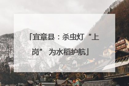 宜章县：杀虫灯“上岗” 为水稻护航