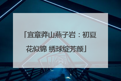 宜章莽山燕子岩：初夏花似锦 绣球绽芳颜