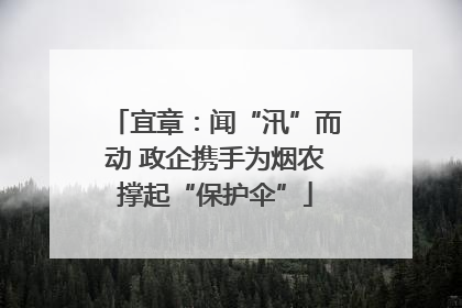 宜章：闻“汛”而动 政企携手为烟农撑起“保护伞”