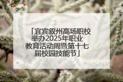 宜宾叙州高场职校举办2025年职业教育活动周暨第十七届校园技能节