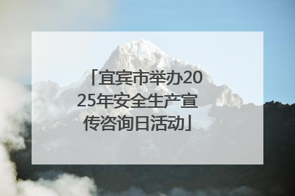 宜宾市举办2025年安全生产宣传咨询日活动