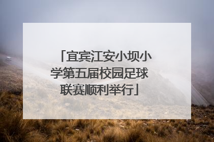 宜宾江安小坝小学第五届校园足球联赛顺利举行