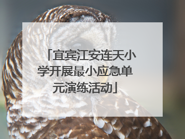 宜宾江安连天小学开展最小应急单元演练活动