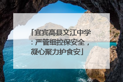 宜宾高县文江中学：严管细控保安全，凝心聚力护食安