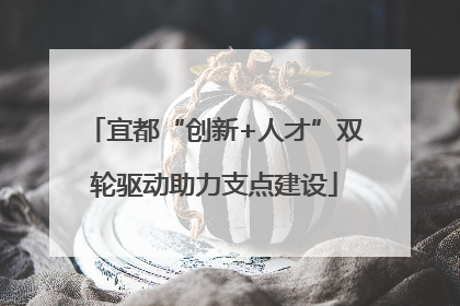 宜都“创新+人才”双轮驱动助力支点建设