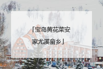 宝岛黄花菜安家尤溪畲乡