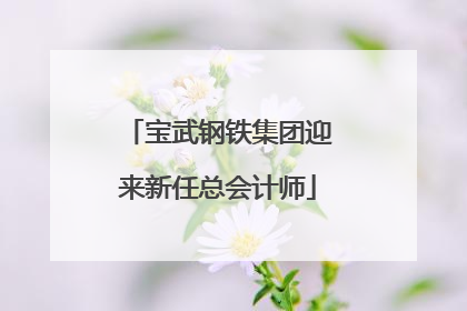 宝武钢铁集团迎来新任总会计师