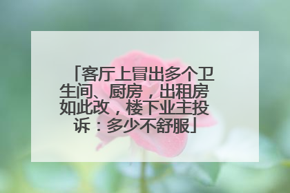 客厅上冒出多个卫生间、厨房，出租房如此改，楼下业主投诉：多少不舒服