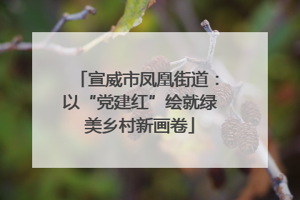 宣威市凤凰街道：以“党建红”绘就绿美乡村新画卷