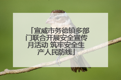宣威市务德镇多部门联合开展安全宣传月活动 筑牢安全生产人民防线