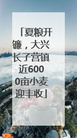 夏粮开镰，大兴长子营镇近6000亩小麦迎丰收