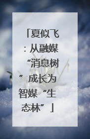 夏似飞：从融媒“消息树”成长为智媒“生态林”