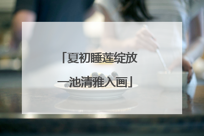 夏初睡莲绽放 一池清雅入画