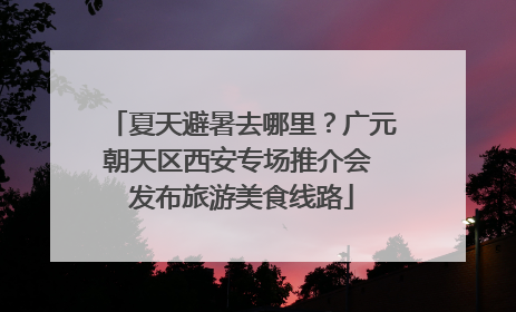 夏天避暑去哪里？广元朝天区西安专场推介会 发布旅游美食线路