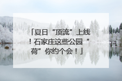 夏日“顶流”上线！石家庄这些公园“荷”你约个会！