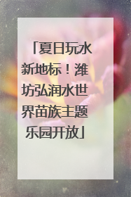 夏日玩水新地标！潍坊弘润水世界苗族主题乐园开放