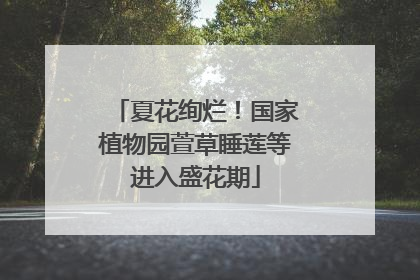 夏花绚烂！国家植物园萱草睡莲等进入盛花期