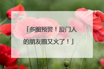 多图预警！厦门人的朋友圈又火了！