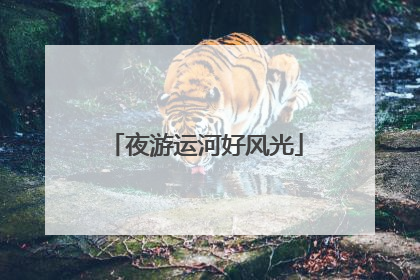 夜游运河好风光