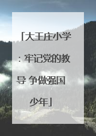 大王庄小学：牢记党的教导 争做强国少年