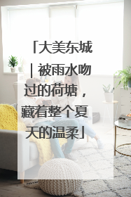 大美东城｜被雨水吻过的荷塘，藏着整个夏天的温柔