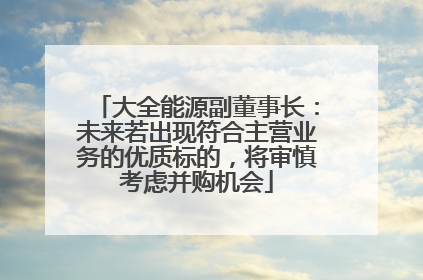 大全能源副董事长：未来若出现符合主营业务的优质标的，将审慎考虑并购机会