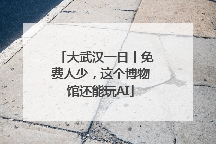 大武汉一日丨免费人少，这个博物馆还能玩AI