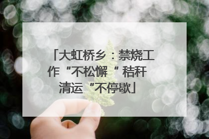 大虹桥乡：禁烧工作“不松懈“ 秸秆清运“不停歇