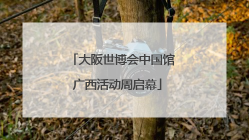 大阪世博会中国馆广西活动周启幕