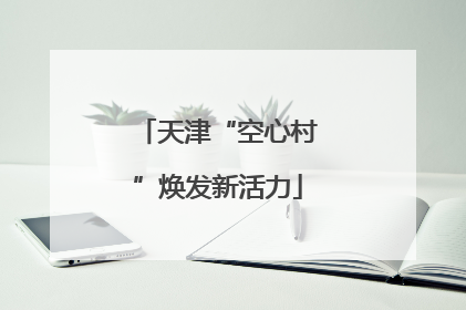 天津“空心村”焕发新活力