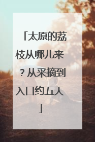 太原的荔枝从哪儿来？从采摘到入口约五天