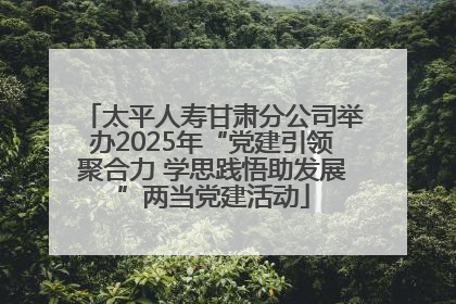太平人寿甘肃分公司举办2025年“党建引领聚合力 学思践悟助发展”两当党建活动