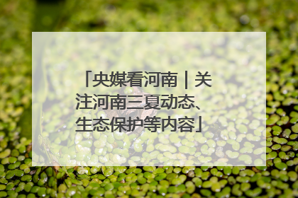 央媒看河南｜关注河南三夏动态、生态保护等内容