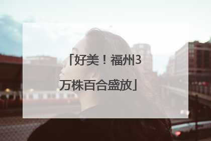 好美！福州3万株百合盛放