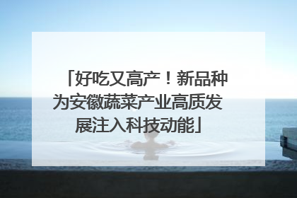 好吃又高产！新品种为安徽蔬菜产业高质发展注入科技动能